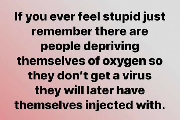 If you ever feel stupid