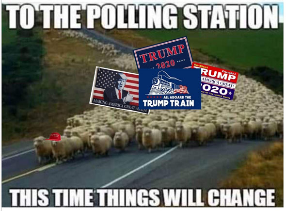 Trump polling