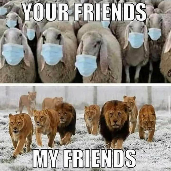 Your friends My friends